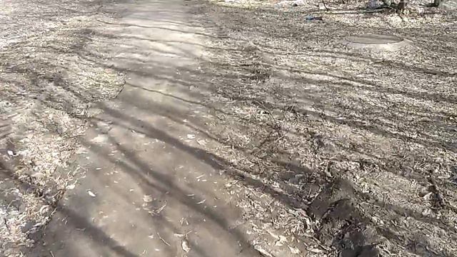 VID 20170426 092140 смотреть онлайн