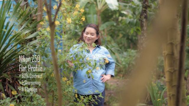 Nikon Z50 Best Video Settings 50mm 1.8 G Sample смотреть онлайн