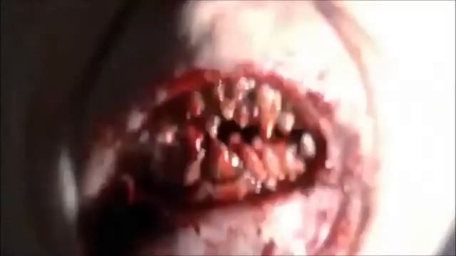 РЭП СЕРИАЛ ОБЗОР №15 АМЕРИКАНСКАЯ ИСТОРИЯ УЖАСОВ смотреть онлайн