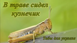 В траве сидел кузнечик - табы для укулеле