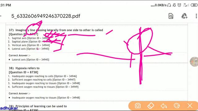 Mped question paper most important DU paper 2020 for kvs, nvs, dsssb, net смотреть онлайн