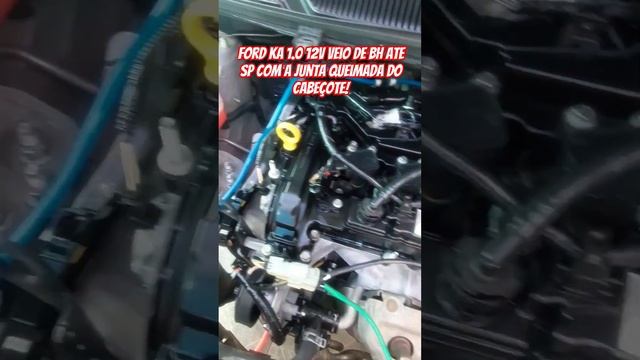 cliente veio de BH até SP só pra fazer o cabeçote. confiança é tudo! смотреть онлайн