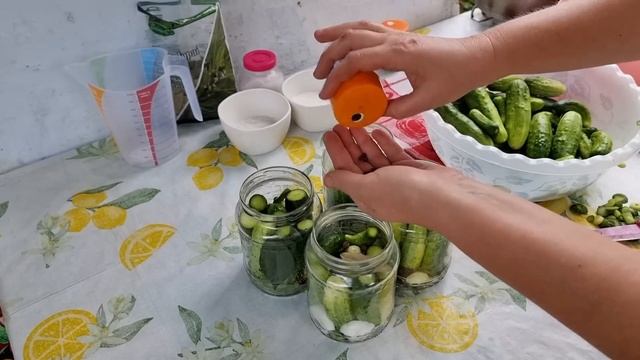 БЕЗ УКСУСА и СТЕРИЛИЗАЦИИ! Хрустящие огурцы на зиму! Просто и Быстро! смотреть онлайн