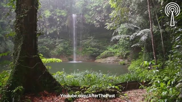 Meditation Music,Rain Sounds,звуки дождя,صدای باران,медитация музыка,موزیک آرامش بخش,Relaxing Music смотреть онлайн