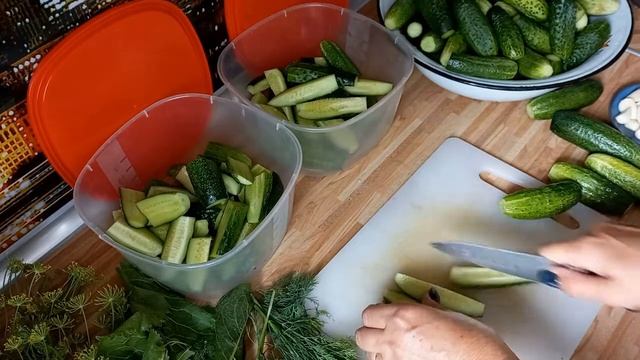 ШАПКА БИНИ на мальчика/ вязание САМЫЙ БЫСТРЫЙ И ВКУСНЫЙ РЕЦЕПТ ЗАСОЛКИ ОГУРЧИКОВ! / заготовки на зи смотреть онлайн