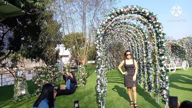 SAN TIN Farm At Yuen Long How To Get There! Here Is The Guide #Ymm Vlogs