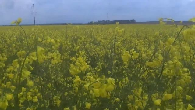 Мотодальняк - 2022. Москва - Брест - Москва. Одни выходные. смотреть онлайн