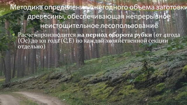 Методика расчета ежегодного объема изъятия древесины на лесном участке. смотреть онлайн