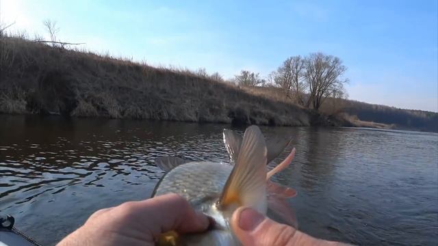Весенняя рыбалка на Оке на поплавок .Дальше запрет,ловля с берега до 10 июня .Ремикс. смотреть онлайн