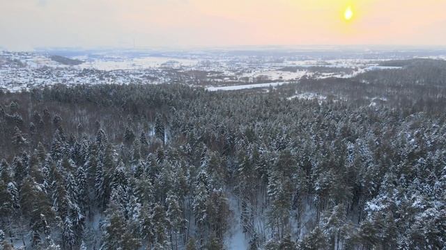 Нижегородская область, г. Кстово (лес, зима) смотреть онлайн