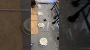 Обзор Палатки «Сибфишер» от Сибтермо с полом ПВХ (215/180).