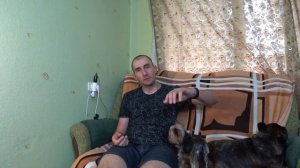 Как кормить французского бульдога. Чем кормить бульдога. Как научить собаку кушать по команде.