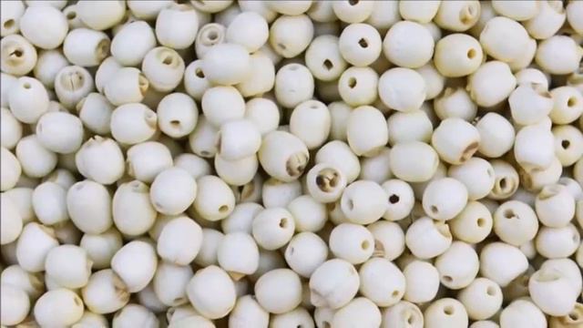 Unbelievable Lotus Seeds ¦ Cures Diabetes Say Goodbye to Diabetes Forever ¦ Cure Diabetes Naturally смотреть онлайн