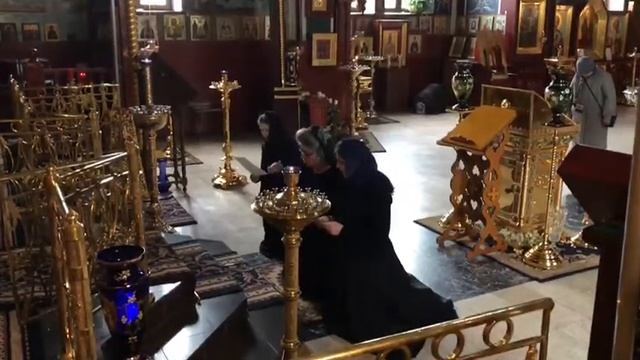 Да исправится. Среда Первой седмицы Великого поста. Боголюбский Храм г.Пушкино. 04.03.2020 смотреть онлайн