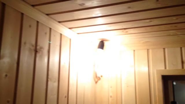 Наша работа по постройки сауны