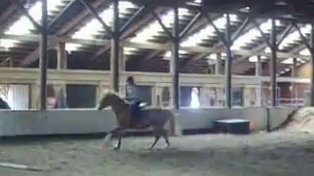 Riley Lefebvre and Paris Spring Break Horse Camp '08 смотреть онлайн