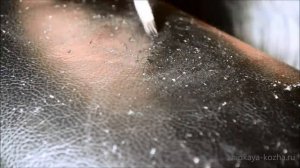 Убираем зацепки от кошачьих когтей