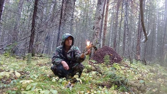 Глушь. смотреть онлайн