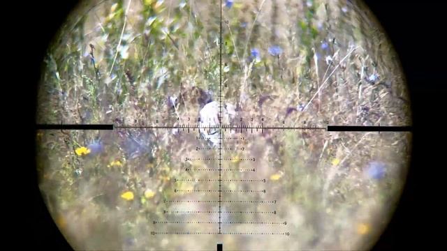 Crow Hunting Кроухантинг(Первые фраги со СТРЕЛКИ!)