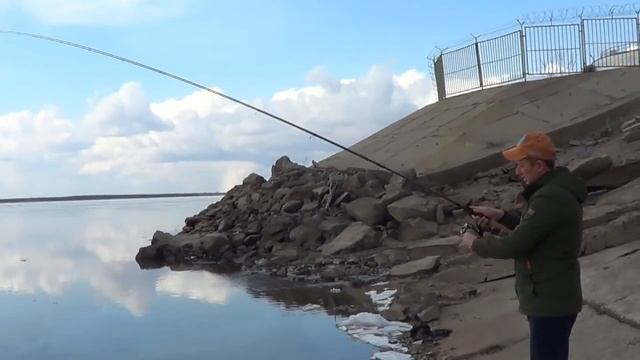 Обзор фидерного удилища MAVER Genesis black ice XTREME FEEDER 12ft 130g смотреть онлайн