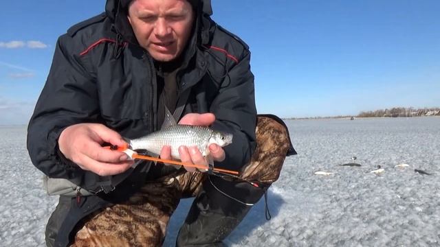 Ловля плотвы в апреле Закрытие зимнего сезона смотреть онлайн