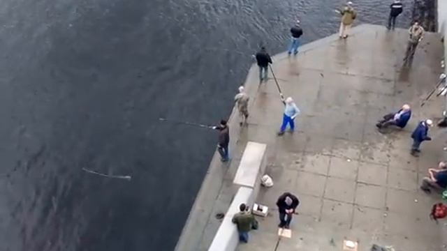 Рыбалка в Санкт-Петербурге 2016.09.09 12:38:19 смотреть онлайн