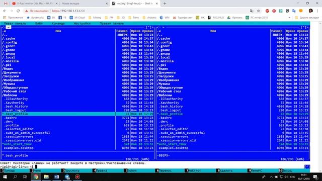 4. Автозагрузка в Linux (bash). Как настроить автозагрузку, если ты отключил графическую оболочку. смотреть онлайн