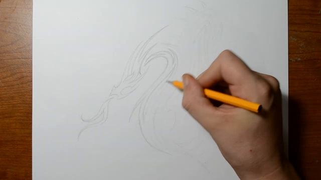Drawing a Cool Tribal Dragon Tattoo Design смотреть онлайн