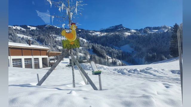 Зимний поход в день святого Валентина. Романтический завтрак. Атака лыжников смотреть онлайн