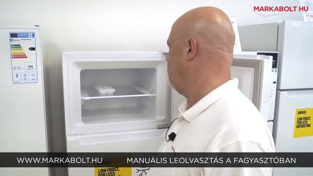 Zanussi ZTAN24FW0 szabadonálló hűtőgép – Márkabolt.hu смотреть онлайн