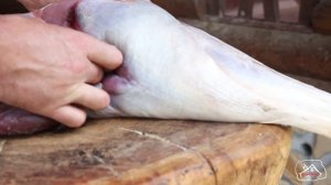 Как разделать ногу СТРАУСА. Как приготовить СТРАУСА. СТРАУСЫ тоже плачут