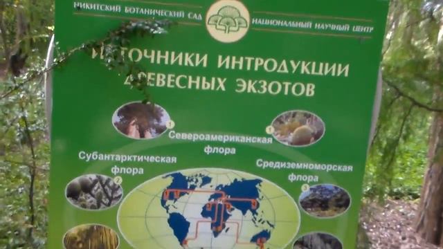 ЮБК / Никита / Перевал / Семейное Путешествие / Крым 2017 смотреть онлайн