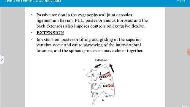 VERTEBRAL COLUMN -SESSION 3 смотреть онлайн