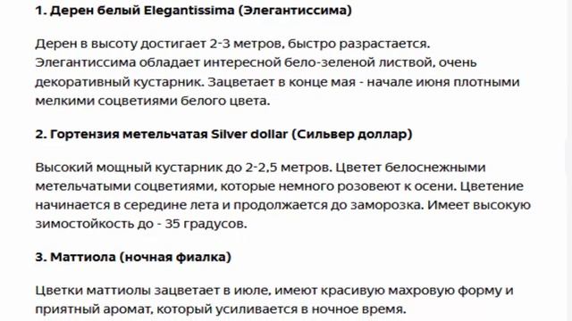 Клумба которая цветет все лето белыми цветами, подробная схема. смотреть онлайн