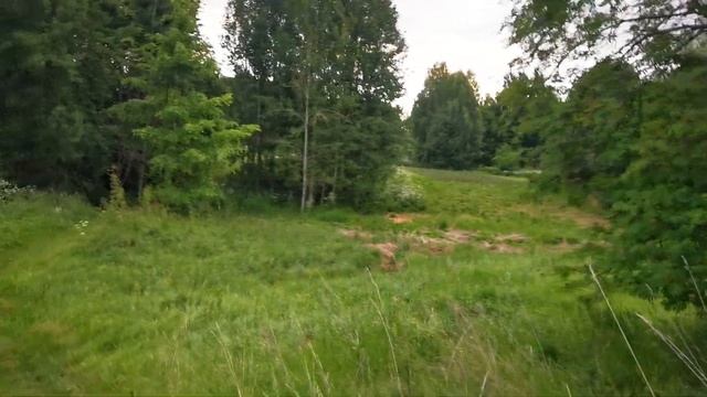 Заброшенная Марийская деревня с 10 домами зато красиво и спокойно смотреть онлайн