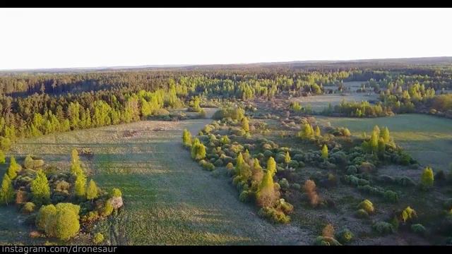 Полет утром в белорусской глубинке