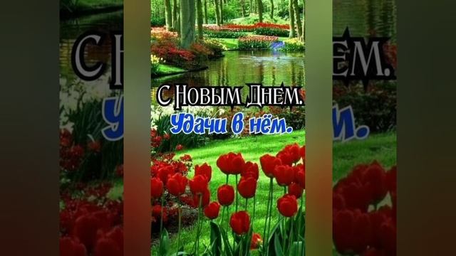 С добрым утром! Глазки быстро открывай, Просыпайся и вставай! смотреть онлайн
