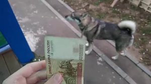 Нашёл 100 рублей на улице LOL