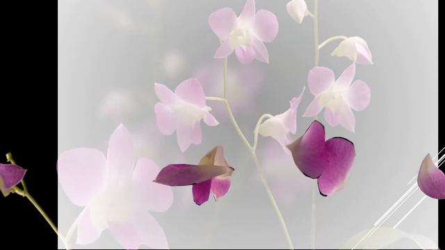 колокольный звон Звучащие картины смотреть онлайн