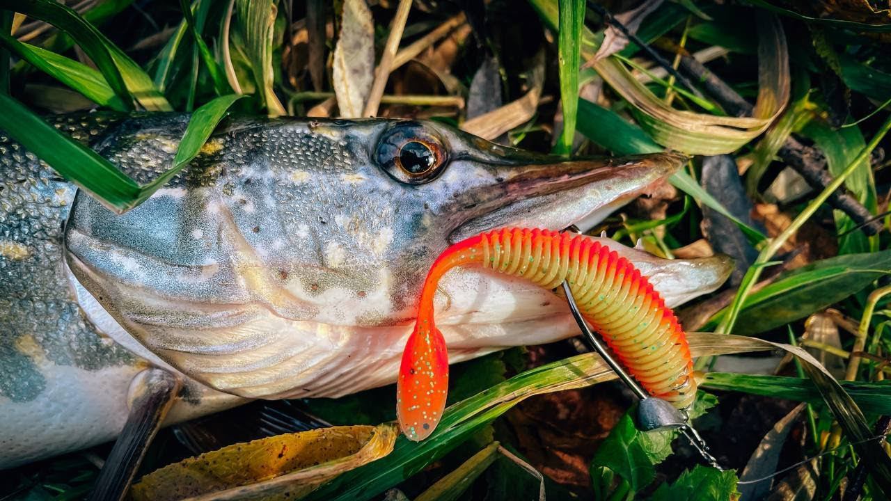 ЛОВЛЯ ЩУКИ на МИКРОРЕЧКЕ смотреть онлайн
