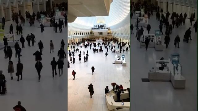 Visiting the Statue of Liberty, Twin Towers, and Sleep No More! смотреть онлайн