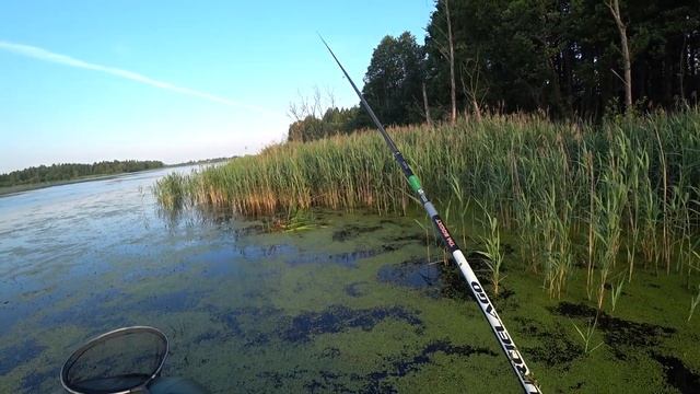 Тихая охота на крупную красноперку в ряске. Рыбалка с лодки на удочку с боковым кивком смотреть онлайн