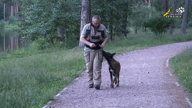 Команда рядом, метод наведения кормом смотреть онлайн