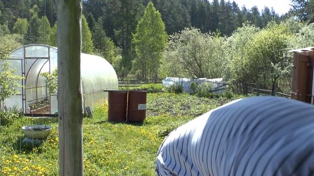 Дача. Малая Кускунка. Косим,пашим,отдыхаем. смотреть онлайн