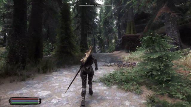 A stroll through Falkreath forest
