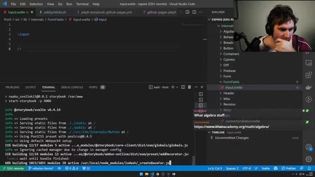 Refactoring SvelteKit Radio inputs to Storybook components смотреть онлайн