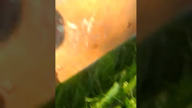 РАЗВОДИМ ОГОНЬ!!! У МЕНЯ ПОСЛЕ ВИДЕО БЫЛ ОЖОГ!!! ЖЕСТЬ! смотреть онлайн