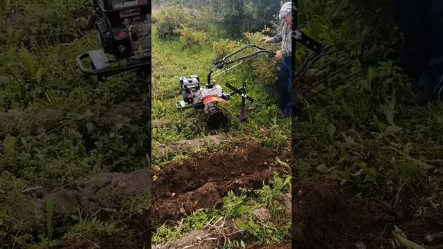 Копаем картошку мотоблоком. смотреть онлайн