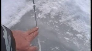 Сенсация!!! Снежный человек существует ч.1