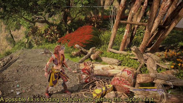 Horizon Forbidden West - DLC Burning Shores Aerial Capture North Bug - Possible Fix смотреть онлайн
